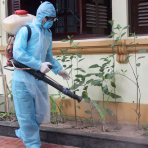 Dịch vụ phun thuốc diệt muỗi